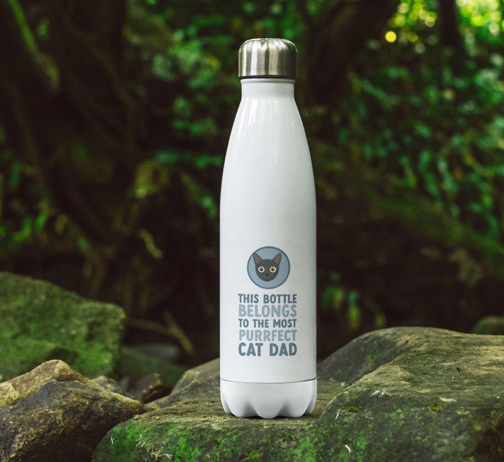 Purrfect Cat Dad: Personalised {breedCommonName} Water Bottle - full image on rocks