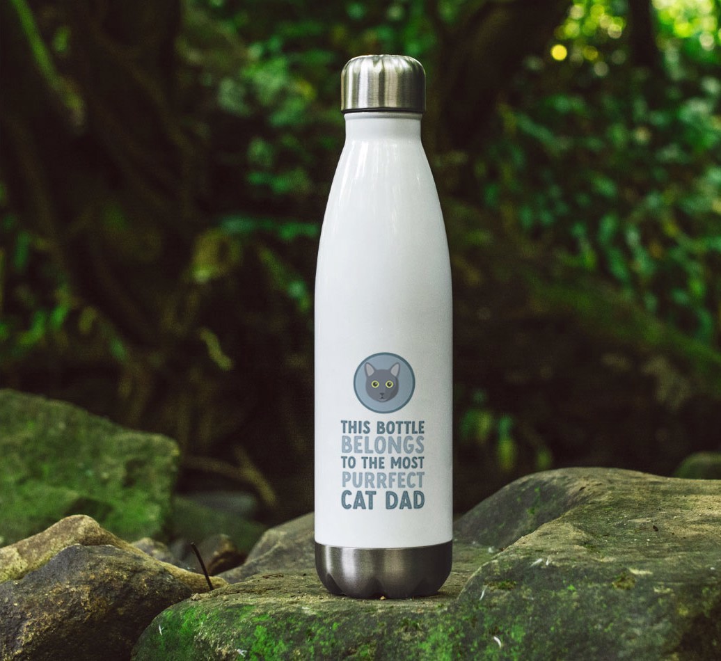 Purrfect Cat Dad: Personalized {breedCommonName} Water Bottle - full image on rocks