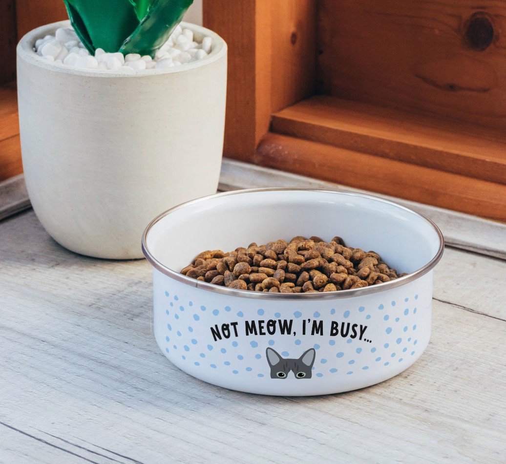 Not Meow, I'm Busy: Personalised {breedFullName} Enamel Cat Bowl