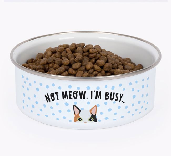 Not Meow, I'm Busy: Personalised {breedCommonName} Enamel Cat Bowl