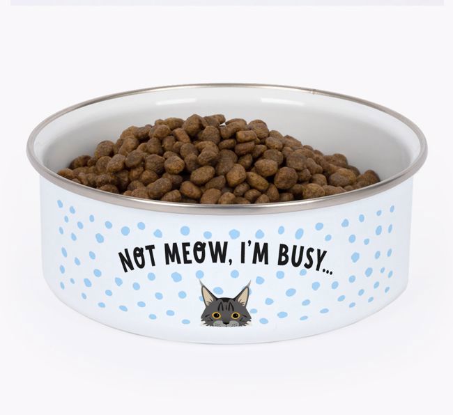 Not Meow, I'm Busy: Personalised {breedCommonName} Enamel Cat Bowl