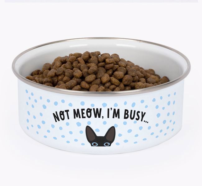 Not Meow, I'm Busy: Personalised {breedCommonName} Enamel Cat Bowl