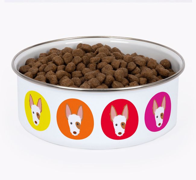Colorful Icons: Personalized {breedFullName} Enamel Dog Bowl