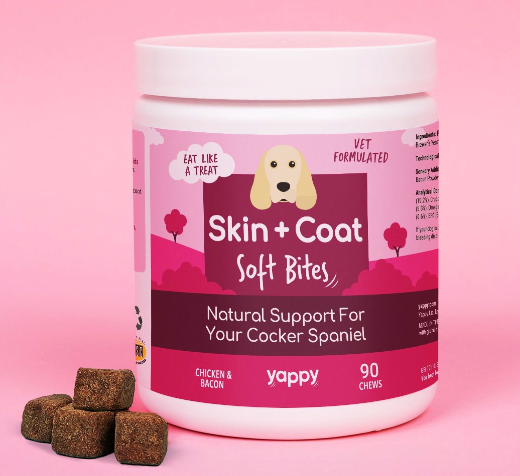 Skin And Coat Soft Chew Supplements