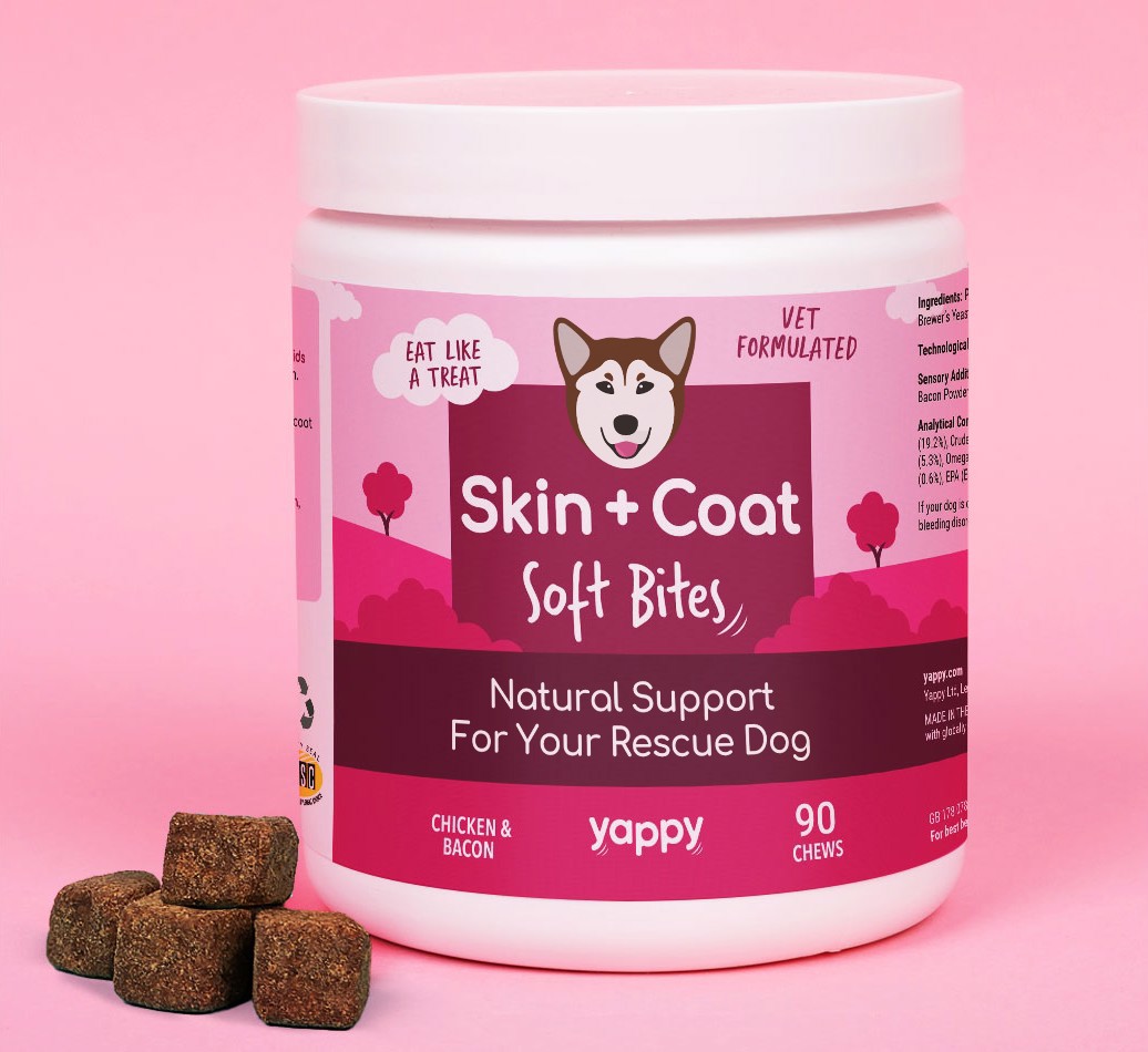 Skin And Coat Soft Chew Supplements
