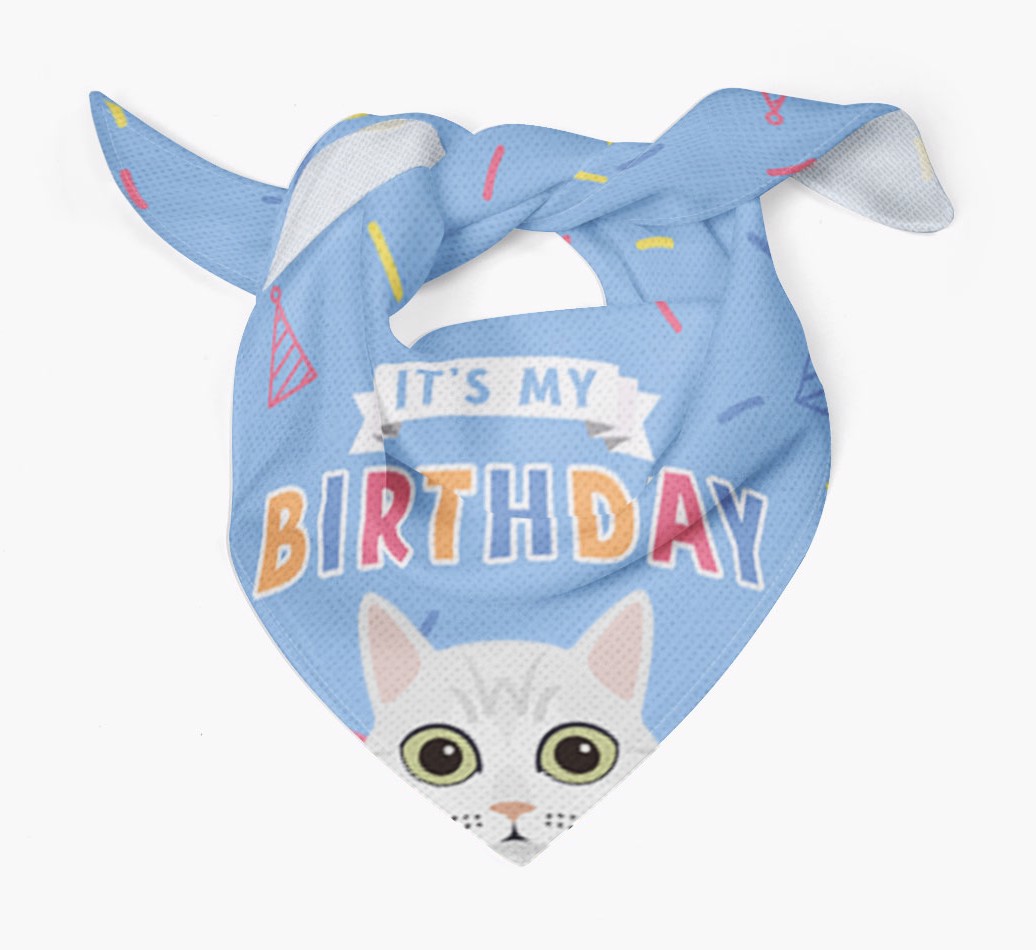 It's My Birthday: Personalised {breedCommonName} Bandana - Tied