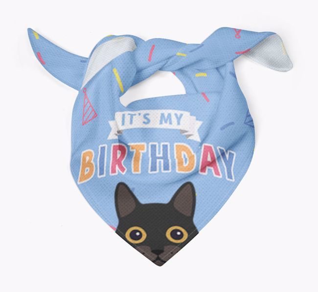 It's My Birthday: Personalised {breedCommonName} Bandana