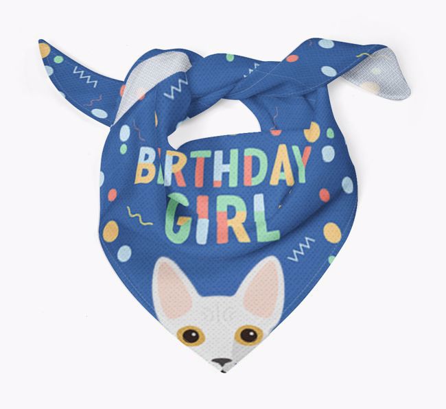 Birthday Girl: Personalised {breedCommonName} Bandana