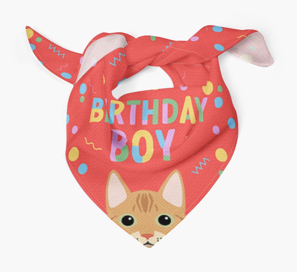Birthday Boy: Personalised {breedCommonName} Bandana - Tied