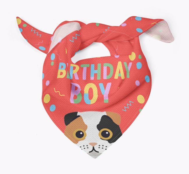 Birthday Boy: Personalized {breedCommonName} Bandana