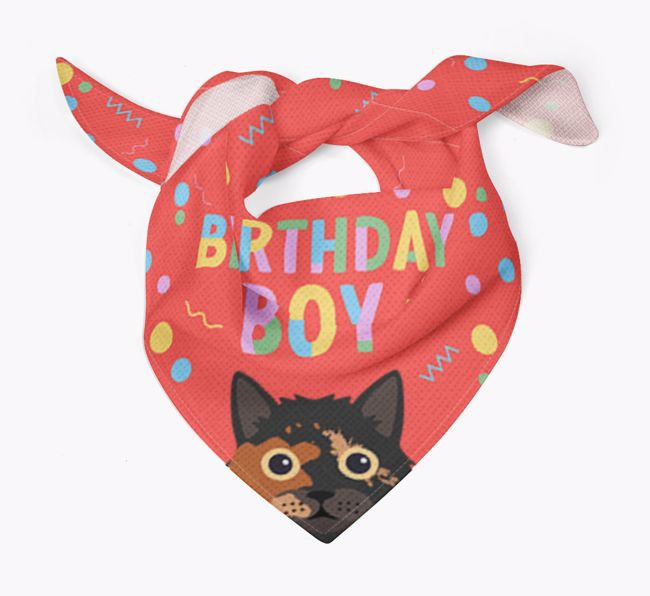 Birthday Boy: Personalised {breedCommonName} Bandana