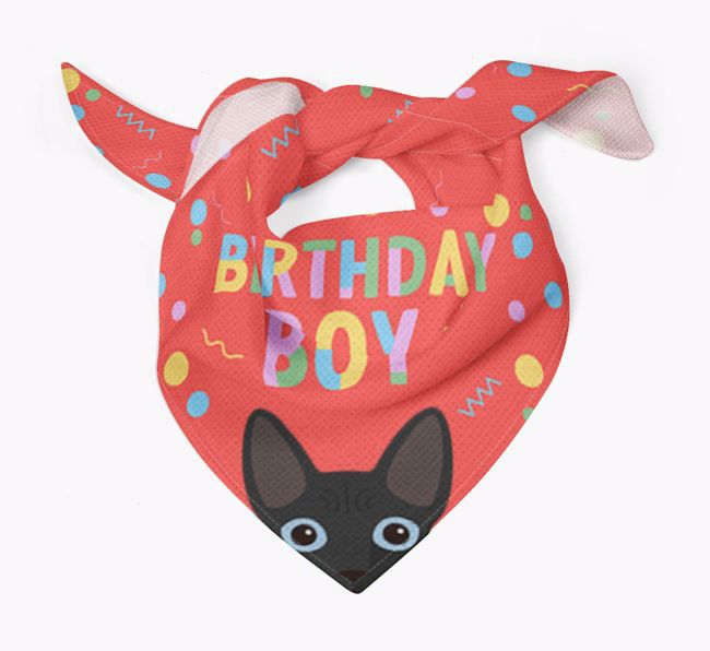 Birthday Boy: Personalised {breedCommonName} Bandana