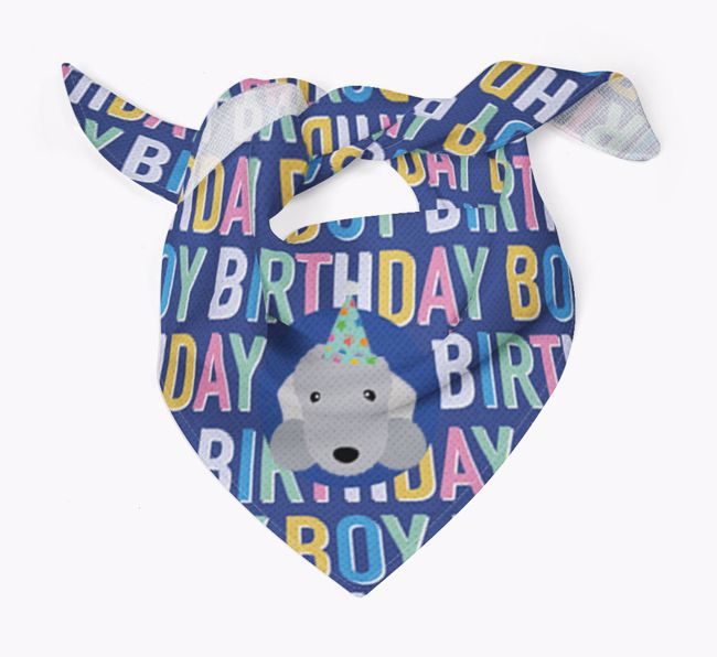 Birthday Boy: Personalised {breedFullName} Bandana