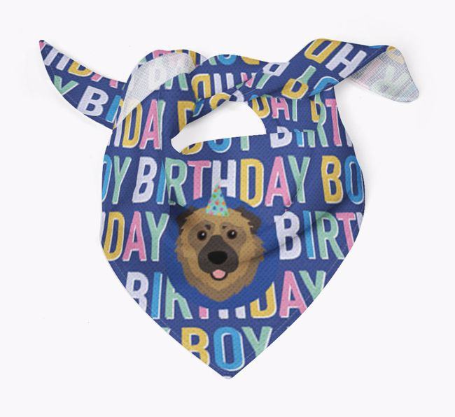 Birthday Boy: Personalised {breedFullName} Bandana