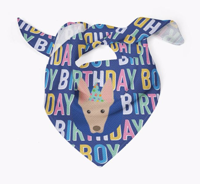 Birthday Boy: Personalized {breedFullName} Bandana
