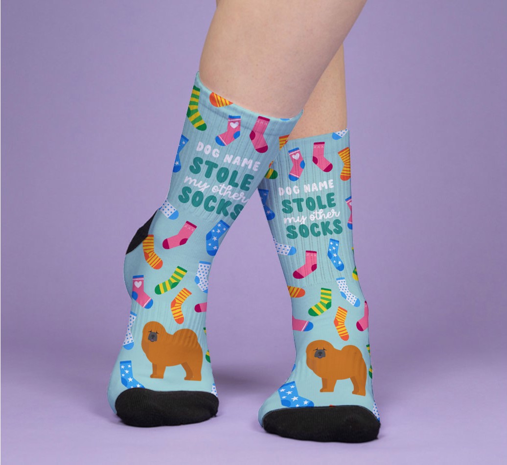 My Dog Stole My Other Socks: Personalised {breedFullName} Socks - woman's feet on purple background