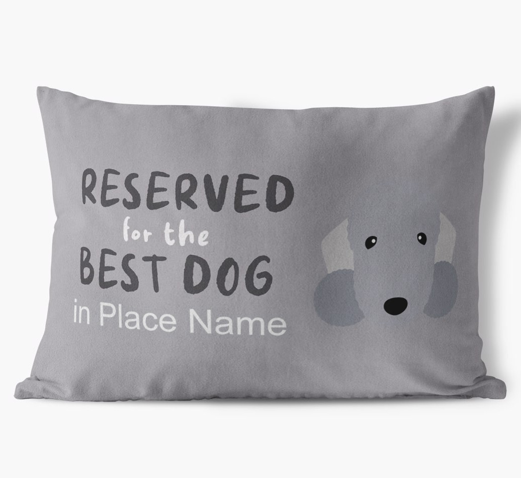 Best Dog In: Personalised {breedFullName} Soft Touch Cushion front view