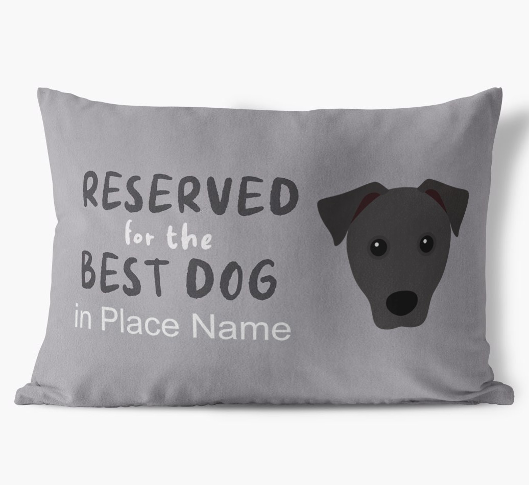 Best Dog In: Personalised {breedFullName} Soft Touch Cushion front view