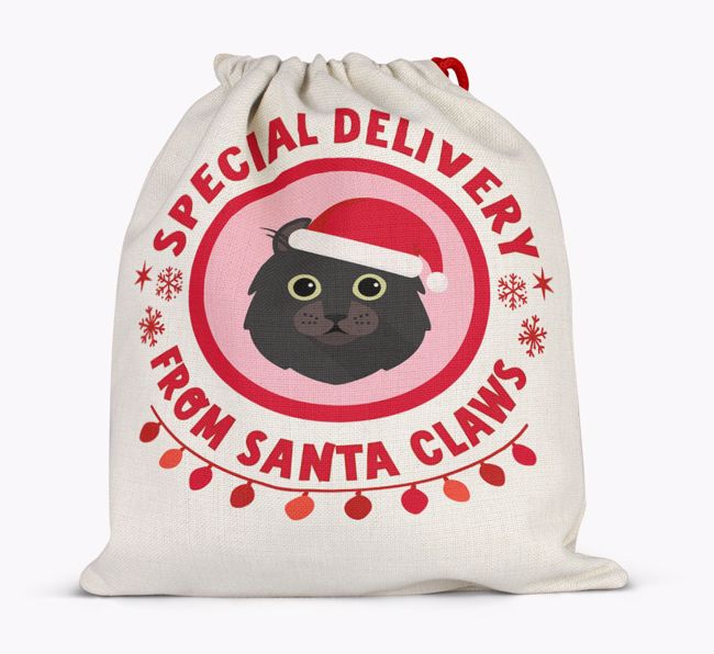 pecial Delivery: Personalised {breedCommonName} Santa Sack