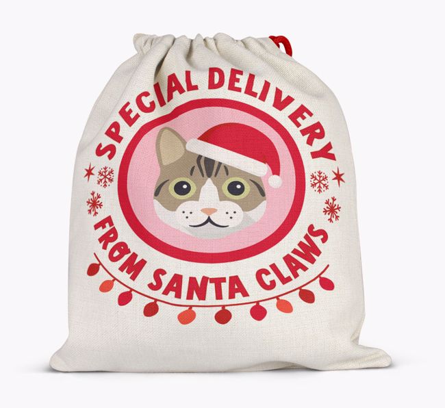 pecial Delivery: Personalised {breedCommonName} Santa Sack