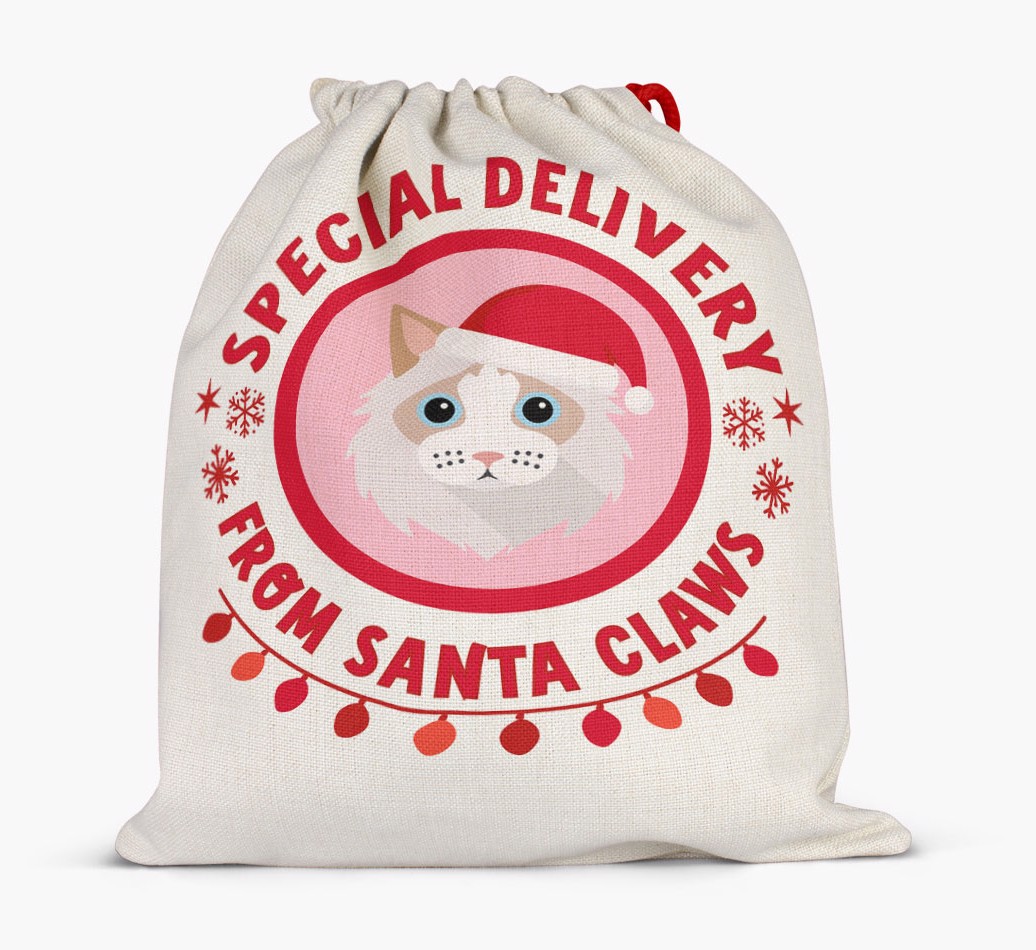 Special Delivery: Personalised {breedFullName} Santa Sack - Full