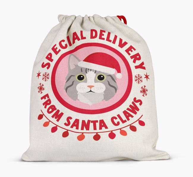 pecial Delivery: Personalised {breedCommonName} Santa Sack