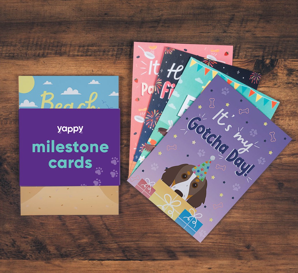Celebration Milestone Cards: Personalised for your {breedFullName}