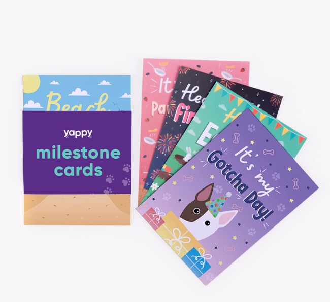 Celebration Milestone Cards: Personalised with your {breedFullName}