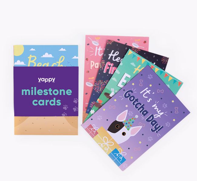 Celebration Milestone Cards: Personalised with your {breedFullName}