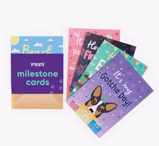 Celebration Milestone Cards: Personalised with your {breedFullName}