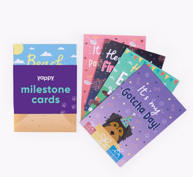 Celebration Milestone Cards: Personalised with your {breedFullName}