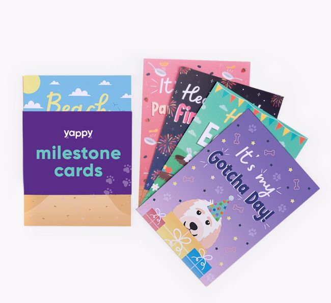 Celebration Milestone Cards: Personalised with your {breedFullName}