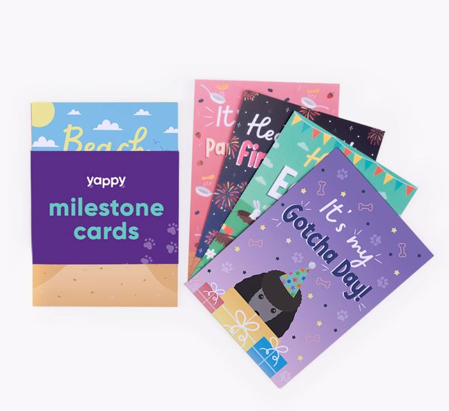 Celebration Milestone Cards: Personalised with your {breedFullName}