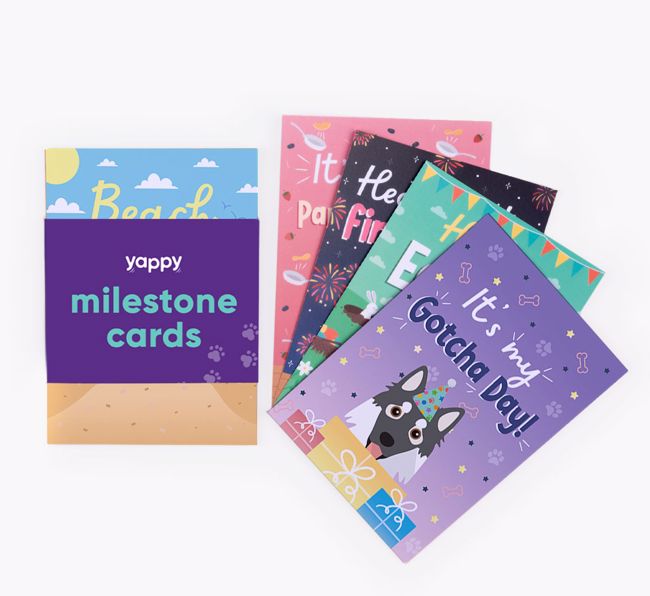 Celebration Milestone Cards: Personalised with your {breedFullName}