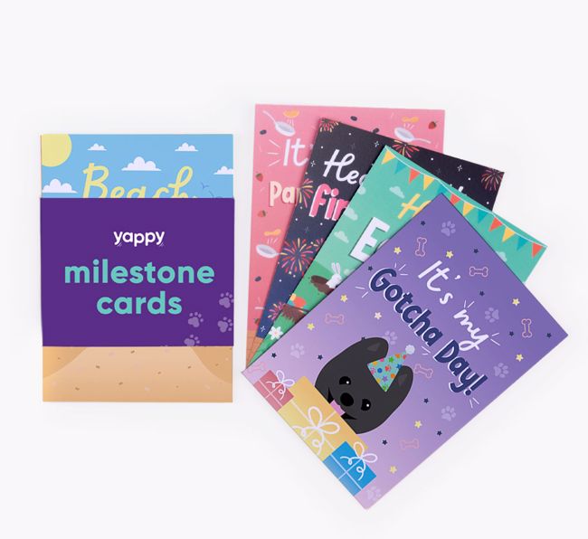 Celebration Milestone Cards: Personalised with your {breedFullName}