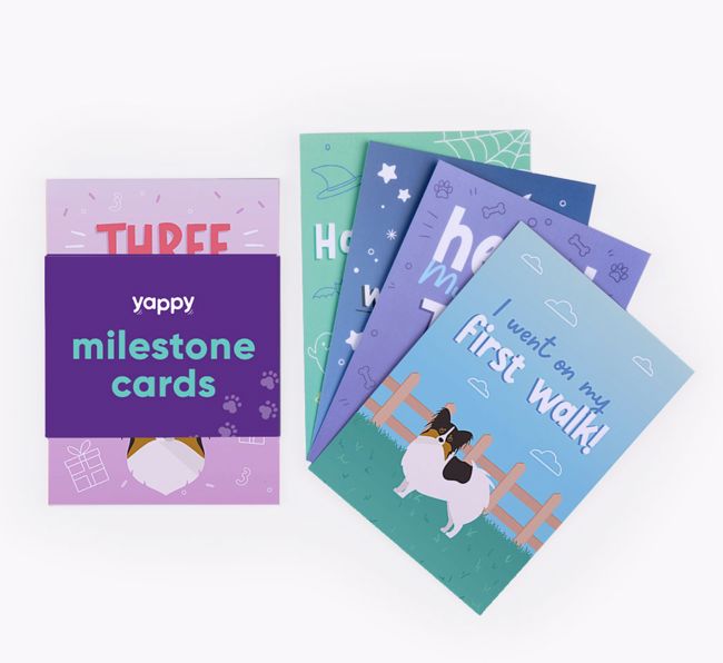 Puppy Milestone Cards: Personalised with your {breedFullName}