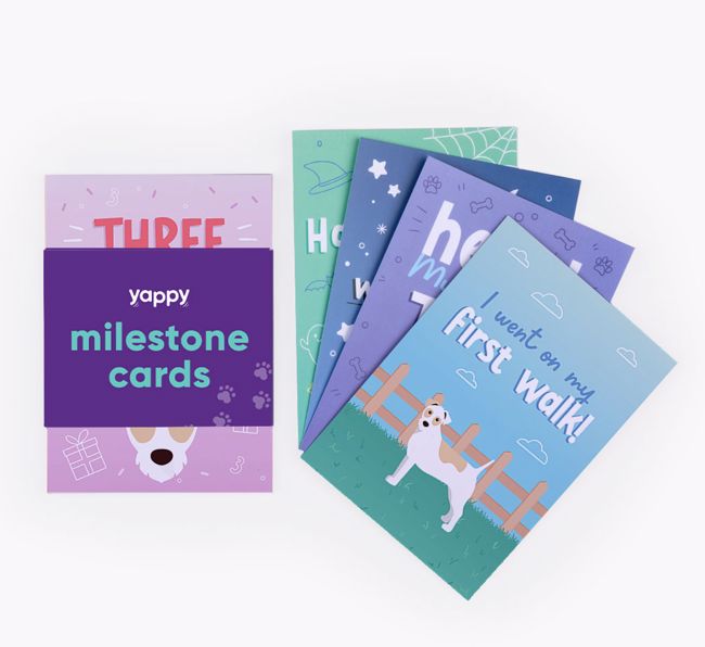 Puppy Milestone Cards: Personalised with your {breedFullName}