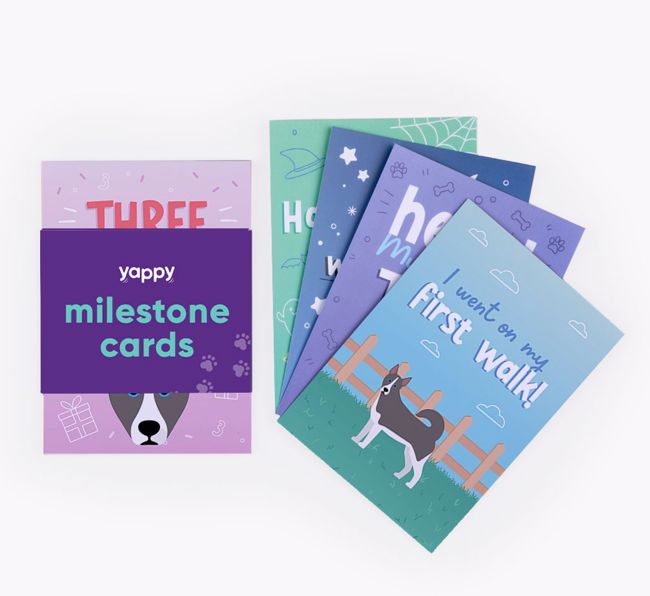 Puppy Milestone Cards: Personalised with your {breedFullName}