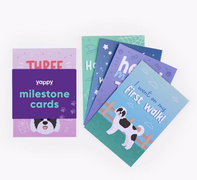 Puppy Milestone Cards: Personalised with your {breedFullName}