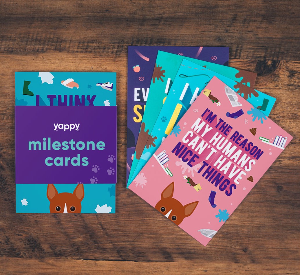 Shaming Milestone Cards: Personalised for your {breedFullName}