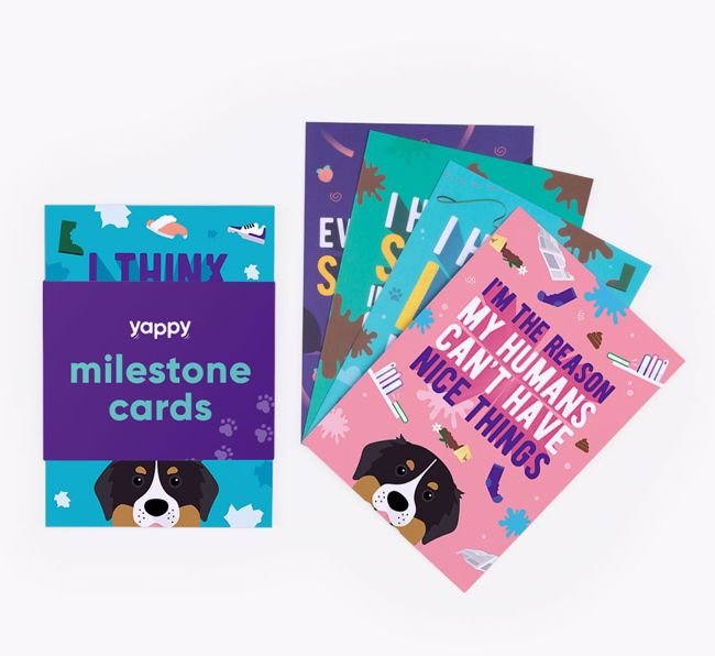 Shaming Milestone Cards: Personalised for your {breedFullName}