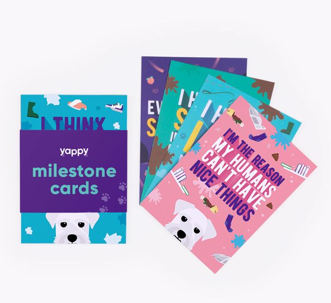 Shaming Milestone Cards: Personalised for your {breedFullName}