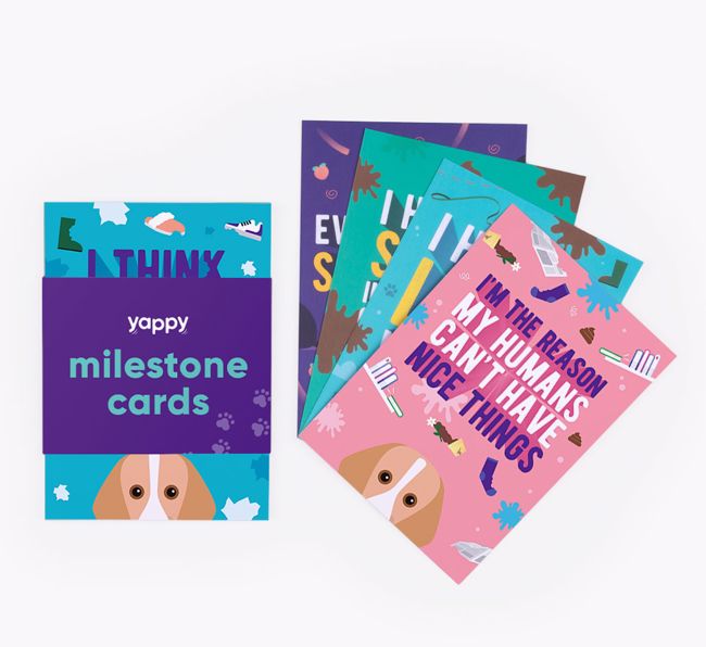 Shaming Milestone Cards: Personalised for your {breedFullName}