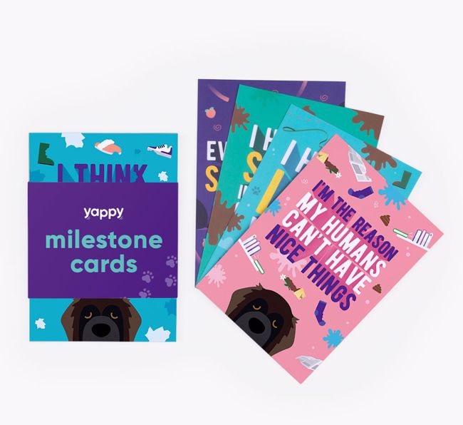 Shaming Milestone Cards: Personalised for your {breedFullName}