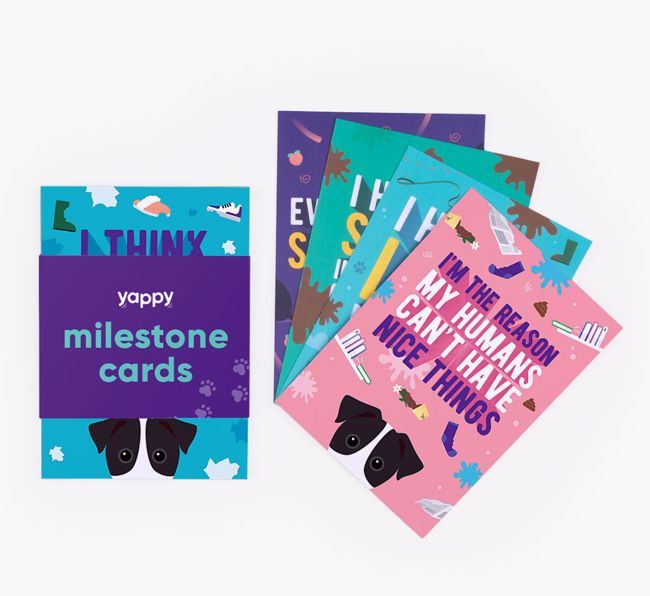 Shaming Milestone Cards: Personalised for your {breedFullName}