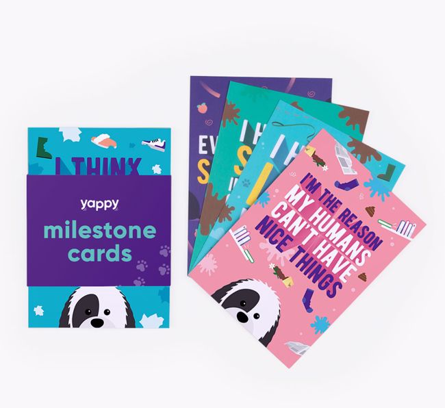 Shaming Milestone Cards: Personalised for your {breedFullName}