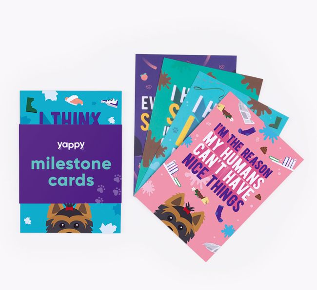 Shaming Milestone Cards: Personalised for your {breedFullName}