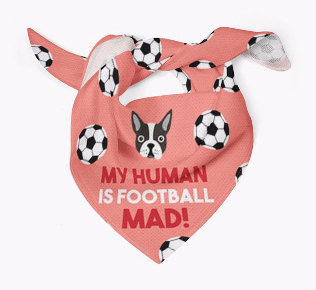 My Human Is Football Mad: Personalised {breedFullName} Bandana