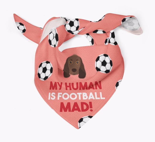 My Human Is Football Mad: Personalised {breedFullName} Bandana