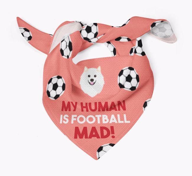 My Human Is Football Mad: Personalised {breedFullName} Bandana